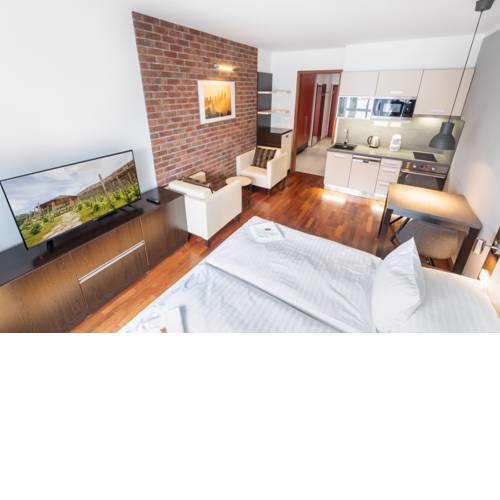Albertov Rental Apartments