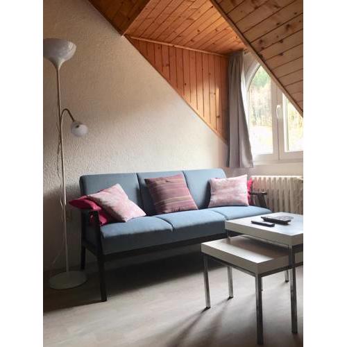 Apartmán Jáchymov u Klínovce