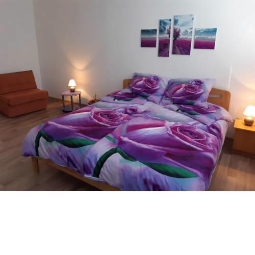 Apartmán Olmik