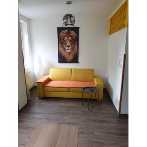 Apartman pohoda Lipno1