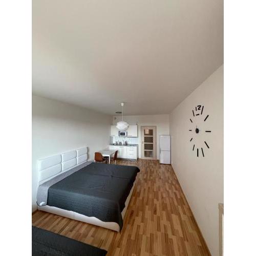 Apartment 153 - Rezidence Eliska - Prague 9