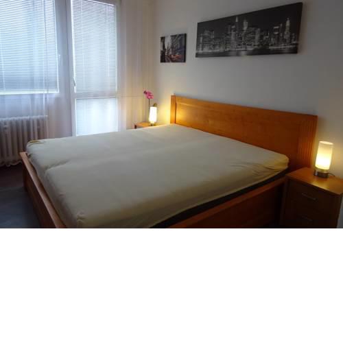 Apartment 2 bedrooms in Prague