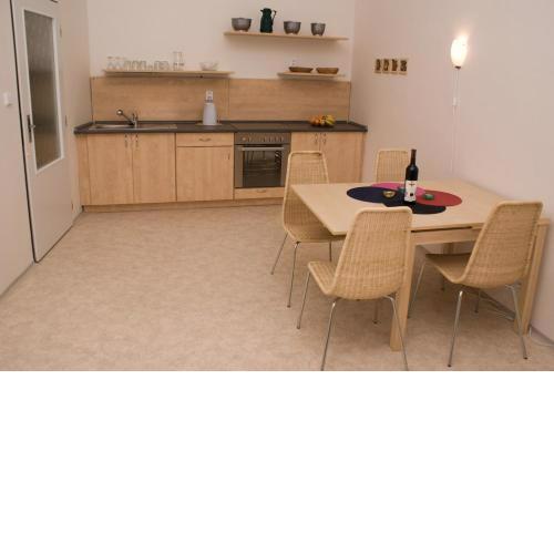 Apartment Havlickova
