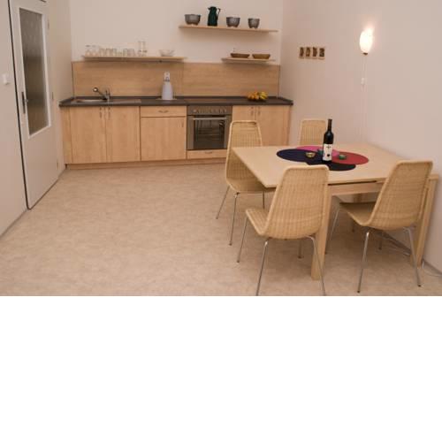 Apartment Havlíčkova