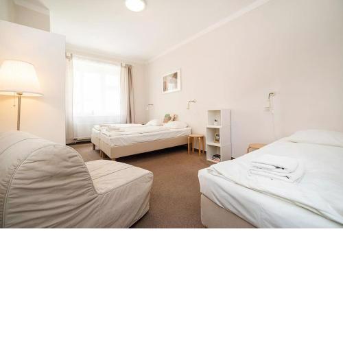 Apartment in Zizkov -201-