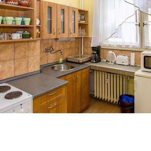 Apartment Letná I