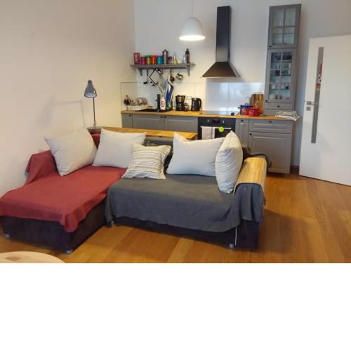 Apartment Trojicka Prague center