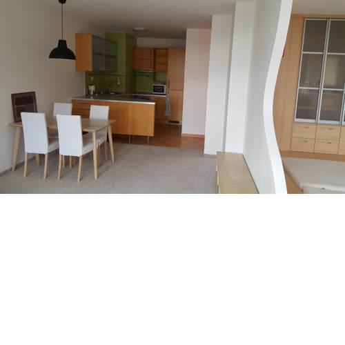 Charming Barrandov apartment