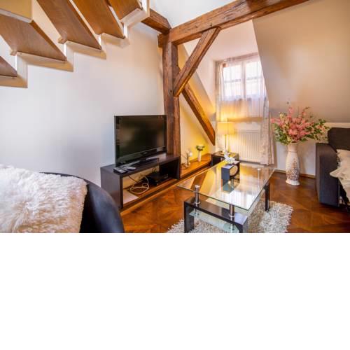 Charming Historical Charles Bridge Residences