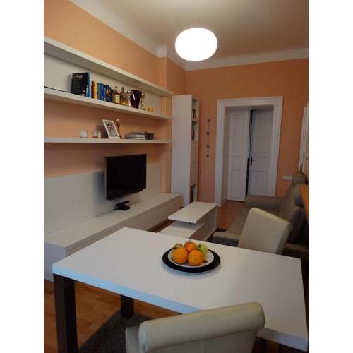 Comfortable Apartment Řehořova