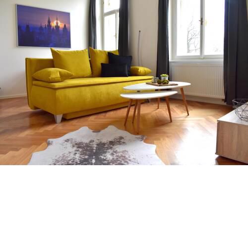 DESIGNER apartments in TRENDY,CENTRAL Neighborhood