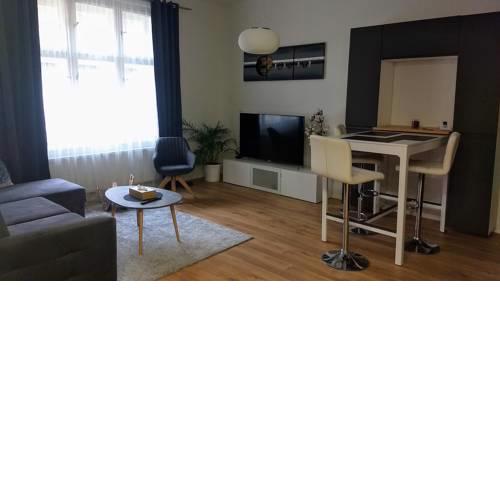 Entire modern 82m2 apartment Prague Zizkov