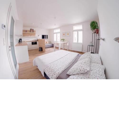 Gorgeous central appartment in Prague