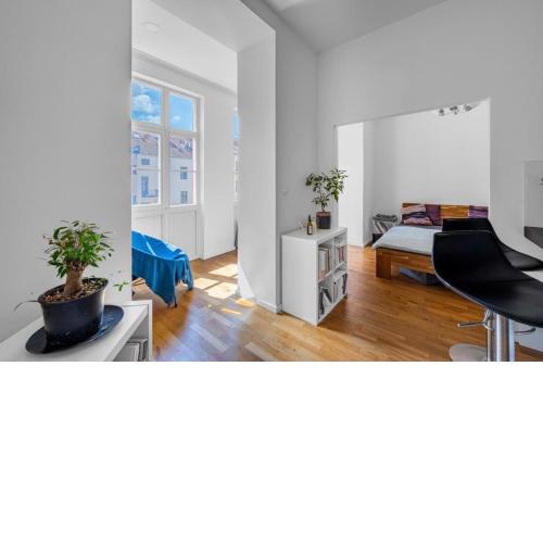 Great apartment in the hype neighborhood