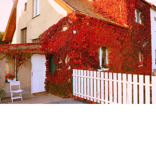 Guest House Ovocná