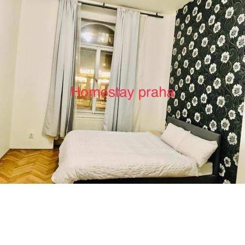 Hotel Apartment in square praha 2