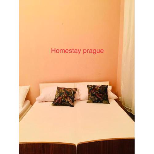Hotel flat in Centre Prague 2