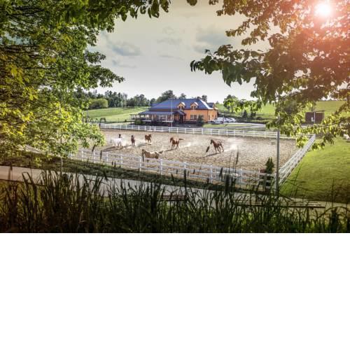Hotel Horse Riding - Jezdecký Areál Tršice