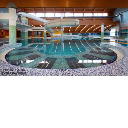 LIPNO WELLNESS - FRYMBURK D106 private family room