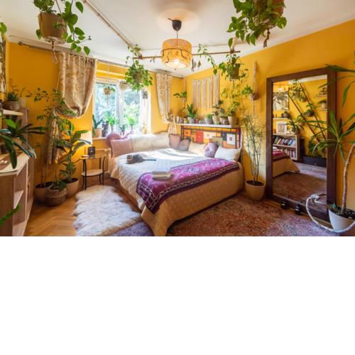Lovely room in sweet flat