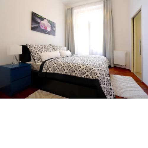 Luxurious Apartment in Parizska street