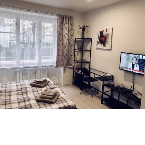 Luxury apartment Prague
