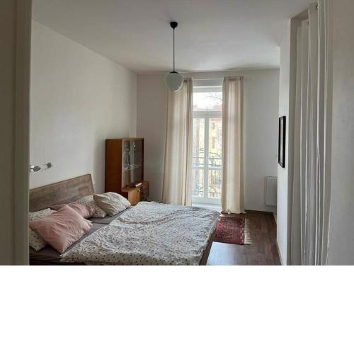 Mama's apartment in Letna