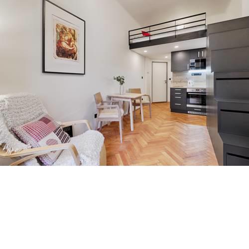 Mezzanine Studio Apartment