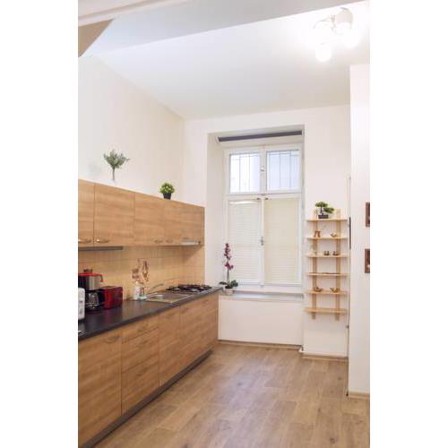 Modern Apartment Krakovska