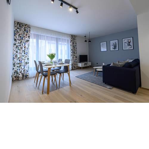 Modern apartment near Vltava River