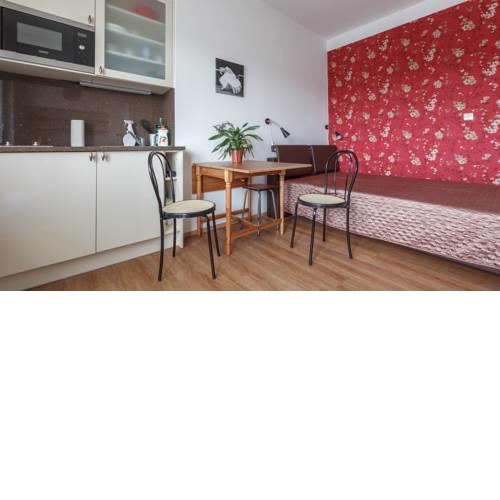 Modern studio Opletalova