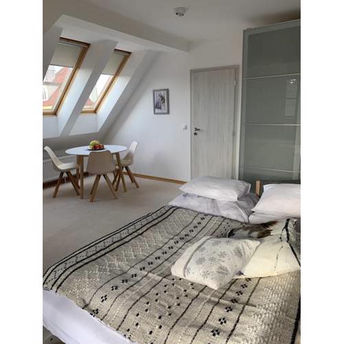 NEW Attic Apartment Modern Design
