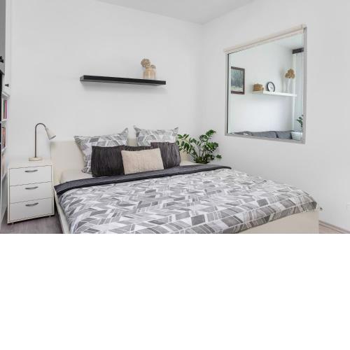 One-bedroom apartment Řečkovice