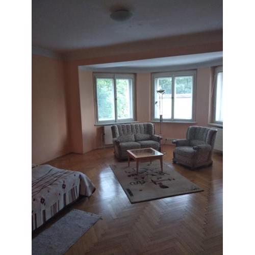 Prostorny slunny apartman, v bezpecne casti Prahy,wifi zdarma