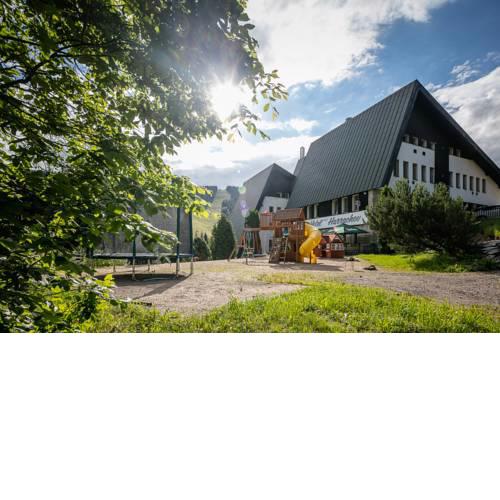 Pytloun Wellness Hotel Harrachov