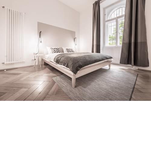 Riegr's Park Apartment