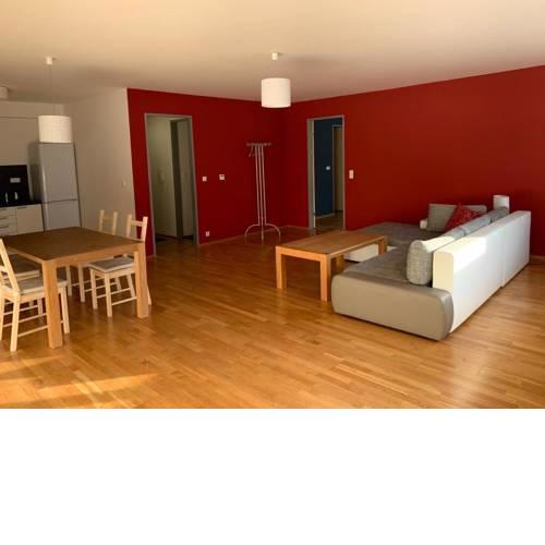Spacious apartment near the city center