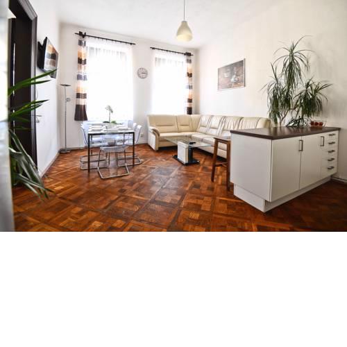Spacious cozy apartments in centre