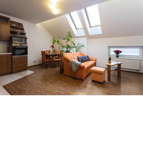 Spacious Prague apartment close to city centrum