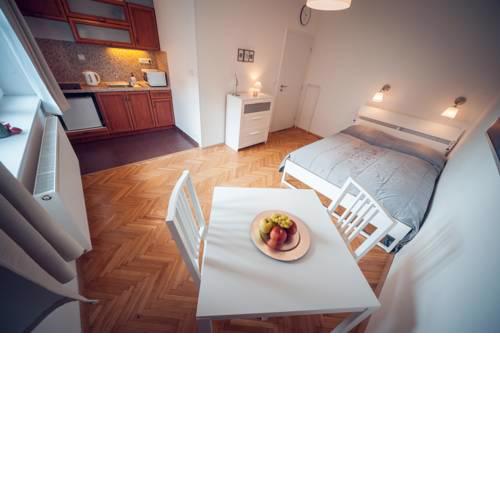 Studio Strazni (w free garage parking)