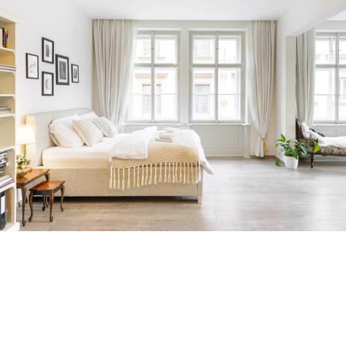 Stylish, Light-Filled Home in the Historic Center