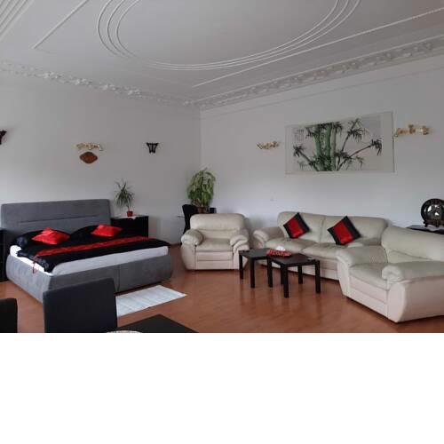 Sunny apartment near the Wenceslav Square