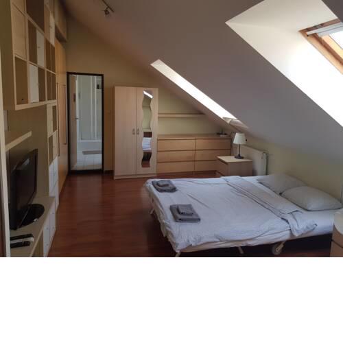 The Hearth of Zizkov apt.