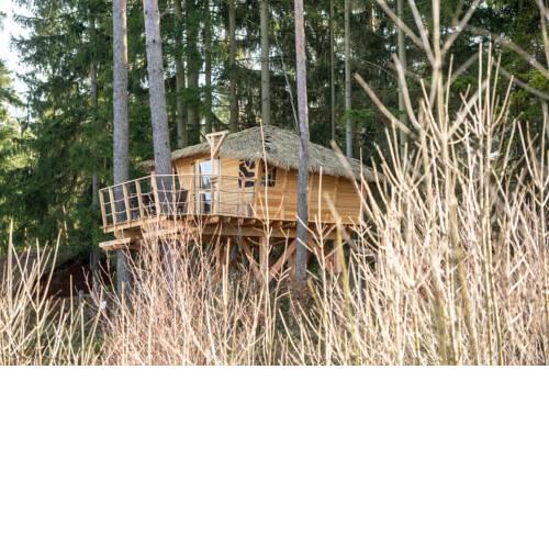 Treehouse ResortRalsko