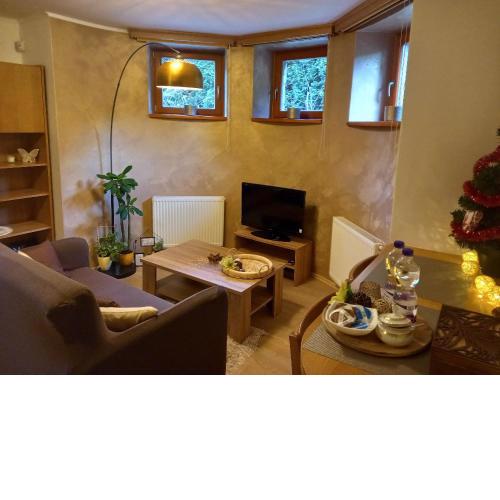 Vila apartmán U Přehrady