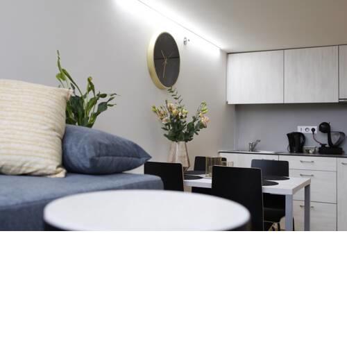 Vita Sana Apartments&SPA - Family loft