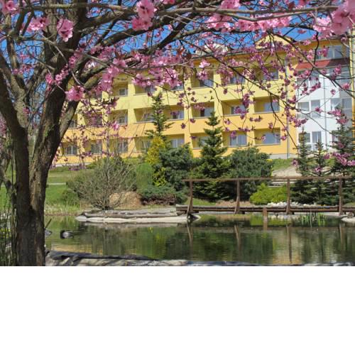 Wellness & Spa Relax Frymburk