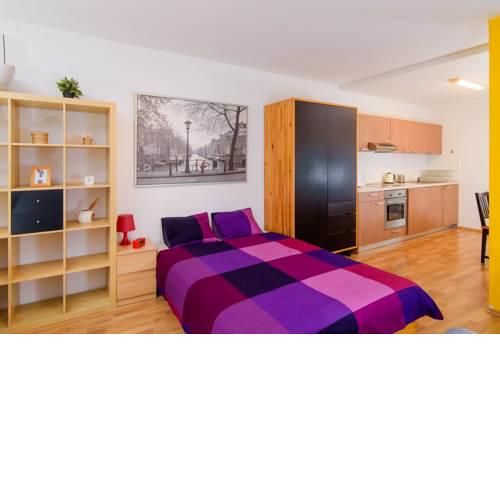 Your HOME in Prague, apt. Constanta