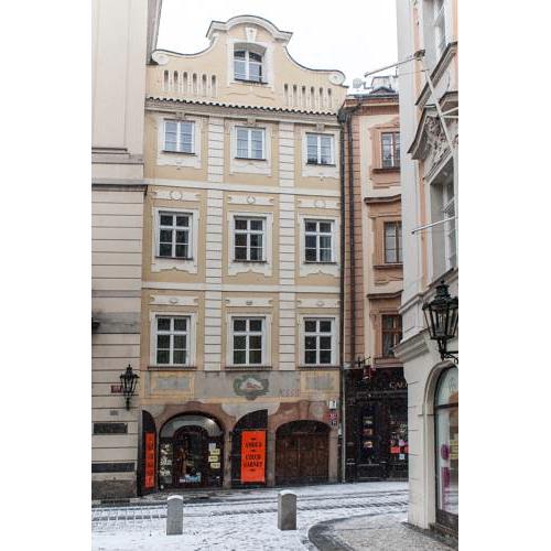 Zlatý kůň Golden Horse